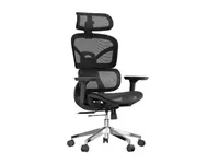 Xtech - Executive Chairs XTF-OC415