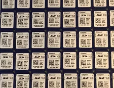Kingston Genuine Dell 1GB RX790 Flash SD Card Memory for Dual SD module 0RX790 - Used