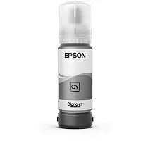 Epson T555 - Gris foto - original